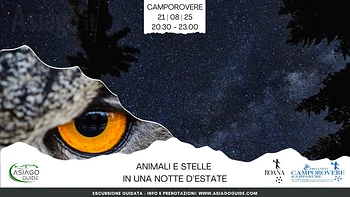 Animali e stelle in una notte d’estate escursione guidata a Camporovere