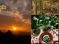 S02 Andar per erbe al tramonto con cena a Campomezzavia