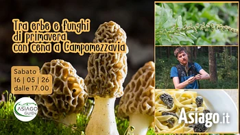 s16 tra erbe e funghi di primavera con cena a camp