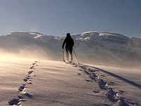 Excursion "Trekking & Astronomy" to Asiago-27 December 2022