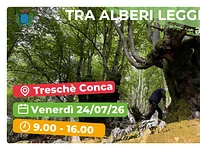Escursione "Alle Melette tra panorami e alberi leggendari" - Treschè Conca, venerdì 24 luglio 2026