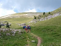 Zwischen Geschichte und Natur: Monte Fior - Sonntag, 16. Juli 2023 ab 9.30 Uhr