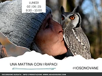 Una mattina con i rapaci | Lunedì 2 giugno 2025 dalle 9.30