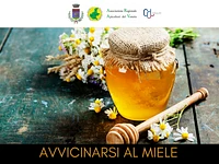 "Avvicinarsi al miele: In-formazione & Degustazione" a Gallio -  30 giugno 2024