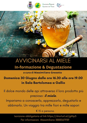 Avvicinarsi al miele incontro d'informazione e degustazione a Gallio