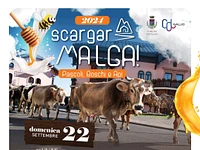 “SCARGAR MALGA”  festa della TRANSUMANZA A GALLIO - 22 settembre 2024