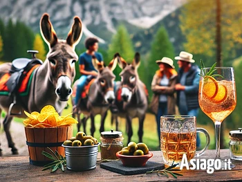 Aperitivo con gli asini a Treschè Conca