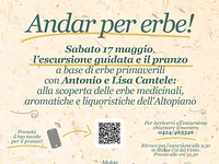 Andar per erbe a Malga Col del Vento, escursione e pranzo