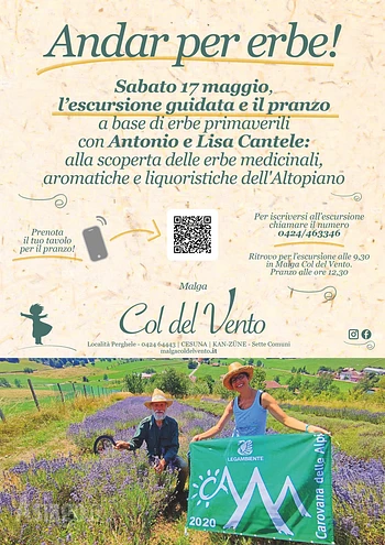 Andar per erbe a Malga Col del Vento, escursione e pranzo