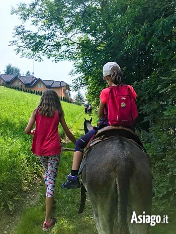 Trekking someggiato a tresche conca