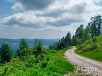 Ein Abschnitt der Route, umgeben von Grün