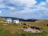 "THE BEAUTIFUL MOUNTAIN HUTS OF MOUNT ONGARA" guided hike - Gallium, 1 August 2024