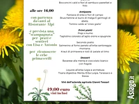 Andar per erbe scampagnata e cena al Ristorante Alpi di Foza 1° giugno 2024