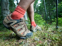 Guided hike for experts "Dosso - Val d'Assa" - Treschè Conca, 2 August 2023