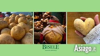 Patà natale