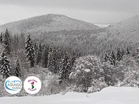 "THE VAIA FRONT" guided snowshoe hike between the places of the Great War and Vaia along the Path of Remembrance - 31 December 2023