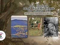 "Alla scoperta delle leggende cimbre con Moreno Corà" escursione a Cesuna - 21 agosto 2024