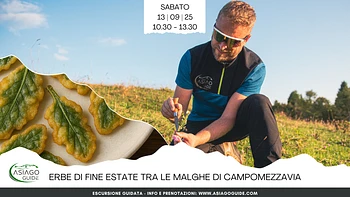 E26 Erbe di fine estate tra le malghe a Campomezzavia