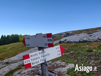 Escursione guidata a Malga Fiara e Casara Fiaretta