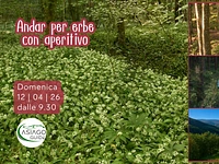 S05 Andar per erbe con aperitivo 12 04 26