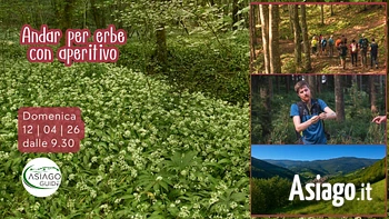 s05 andar per erbe con aperitivo 12 04 26