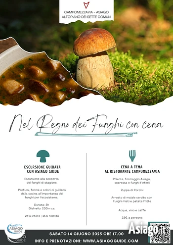 Funghi campomezzavia