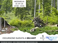 ESCURSIONE GUIDATA a SelvArt - Mezzaselva, lunedì 21 luglio 2025 
