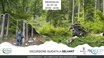 Escursione guidata a SelvArt