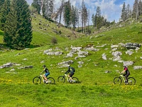 Guided E-bike tour "High Altitude Plateau" - Valmaron Refuge, Enego, 28 July 2024