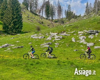 Escursione guidata in E-bike sull'Ortigara con il Rifugio Valmaron