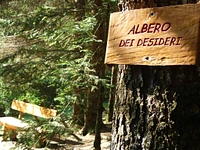 The Wishing Tree at Gnome Village