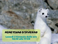 Naturalistic excursion for families "Winter camouflage" with the Naturalistic Museum of Asiago-2 January 2023