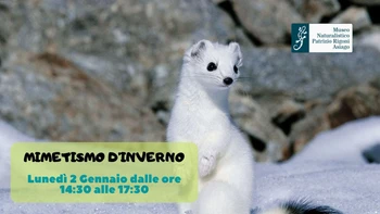 Escursione naturalistica per famiglie "Mimetismo d'inverno" con il Museo Naturalistico di Asiago 