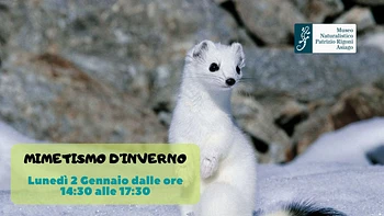 Escursione naturalistica per famiglie "Mimetismo d'inverno" con il Museo Naturalistico di Asiago
