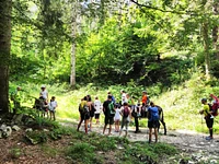 ESCURSIONE CON GLI ASINI "Alle porte dell'Altopiano" - Treschè Conca, domenica 17 agosto 2025