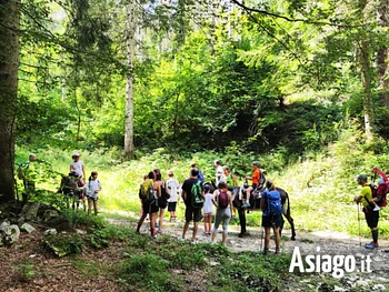 Escursione con gli asini alle porte dell'Altopiano di Asiago