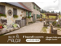 UP, TO THE MALGA! "High altitude pastures: Malga Larici" - Friday, August 8, 2025