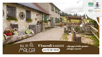 Esperienza in malga con mungitura e degustazione 8 agosto 2025