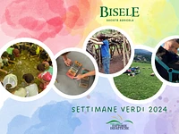 Grüne Woche in der Biofattoria Bisele vom 5. bis 9. August 2024 | Alter 7 - 13 Jahre