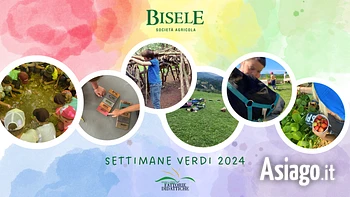 Biofattoria bisele settimana verde