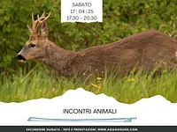 Incontri animali  | Sabato 17 maggio 2025 dalle 17.30