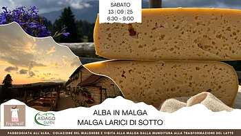 L04 Alba in malga Larici di Sotto