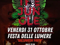 Festa delle lumere 2025 the jungle a canove