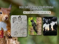 "Dal lupo allo scoiattolo" escursione guidata a Canove - 31 luglio 2024