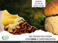 Nel regno dei funghi con cena  | Sabato 23 agosto 2025 dalle 17.00