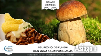 E19 Nel regno dei funghi con cena a campomezzavia