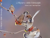 Proiezione del documentario "L'Altopiano delle Meraviglie" - Cesuna, mercoledì 2 luglio 2025