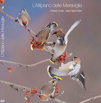 altopiano delle meraviglie proiezione documentario