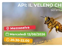 Serata divulgativa “Api, il veleno che cura” - Mezzaselva, mercoledì 12 agosto 2026