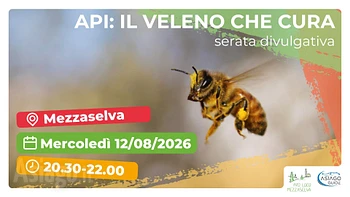 serata divulgativa api il veleno che cura a mezzas